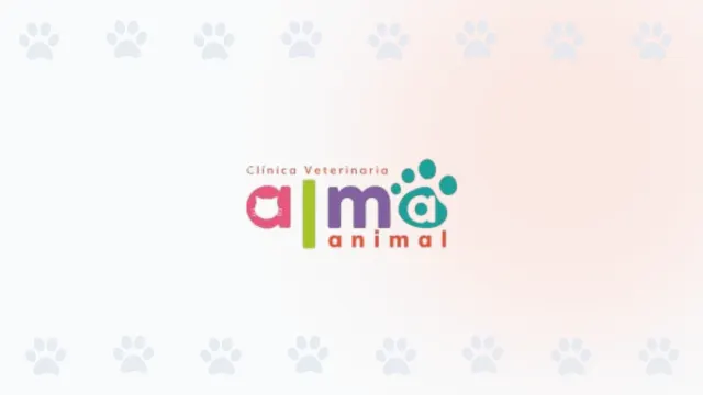 Logo de la Clínica Veterinaria Alma Animal en Cali, con un diseño colorido y moderno que incluye la silueta de un gato y una huella.