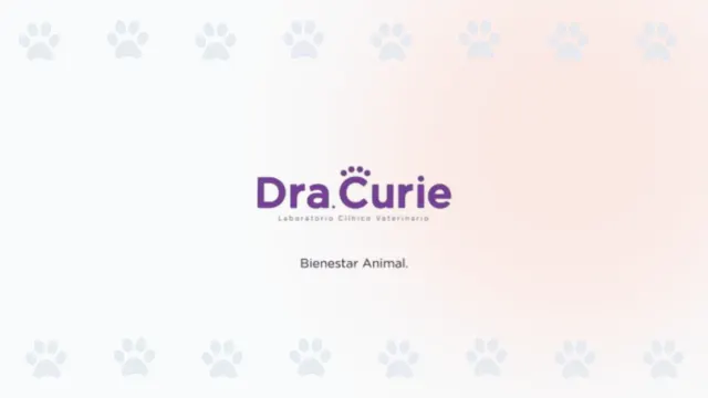 Logo de Dra. Curie, laboratorio clínico veterinario con servicio a domicilio en Cali.