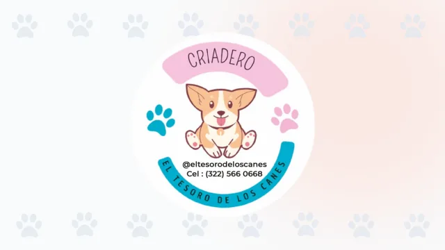 Logo del criadero y peluquería El Tesoro de los Canes en Cali, con una caricatura de un perro Corgi.