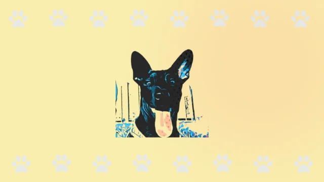 Logo de La Manada Family, guardería y hotel para mascotas en Cali, con la imagen estilizada de un perro negro.