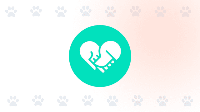 Logo de Livepetter sobre un fondo decorativo con huellas de mascota para PubliPet.