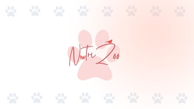 Logo de NutriZoo Pets sobre un fondo decorativo con huellas de mascota para PubliPet.