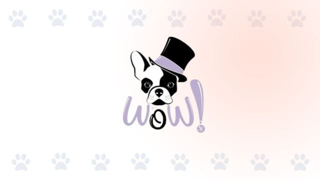 Logo de Wow Peluquería Canina sobre un fondo decorativo con huellas de mascota para PubliPet.