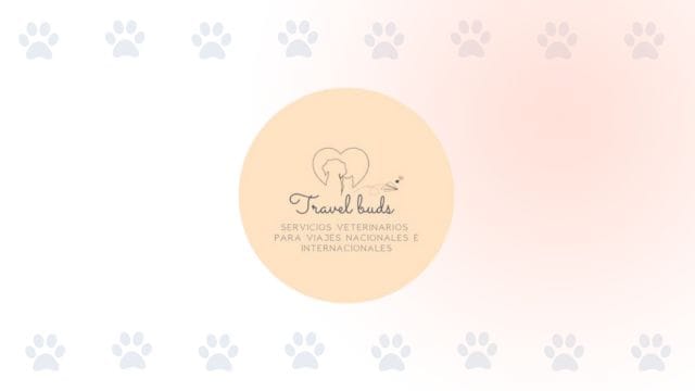 Logo de Travel Buds sobre un fondo decorativo con huellas de mascota para PubliPet.