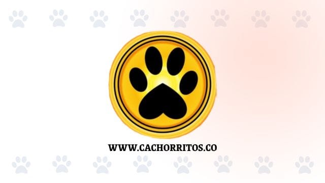 Logo de Cachorritos Colombia sobre un fondo decorativo con huellas de mascota para PubliPet.