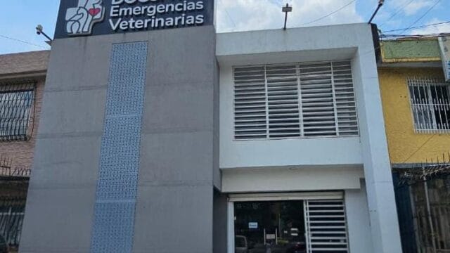 WhatsApp-Image-2025-11-13-at-5.11.28-PM