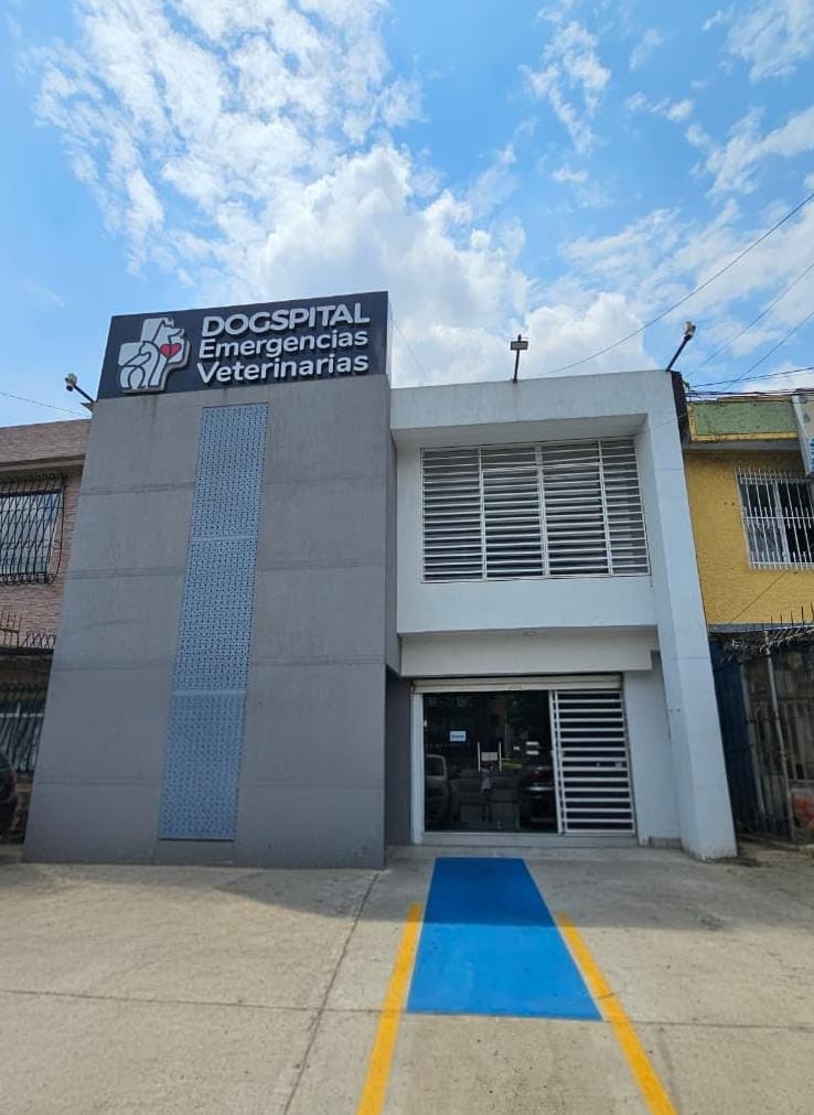 WhatsApp-Image-2025-11-13-at-5.11.28-PM