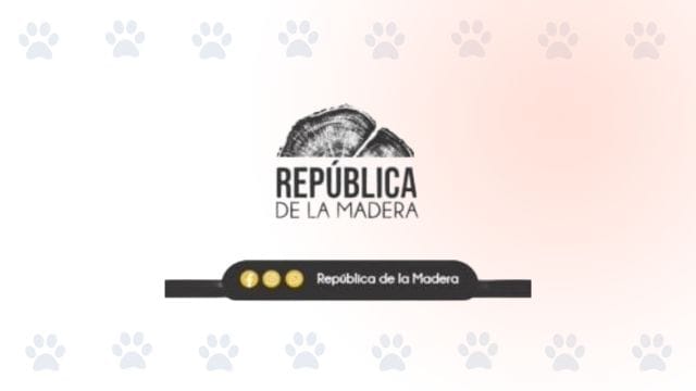Rampa de madera de Republica de la Madera, fabricantes de rampas para mascotas en Bogotá.