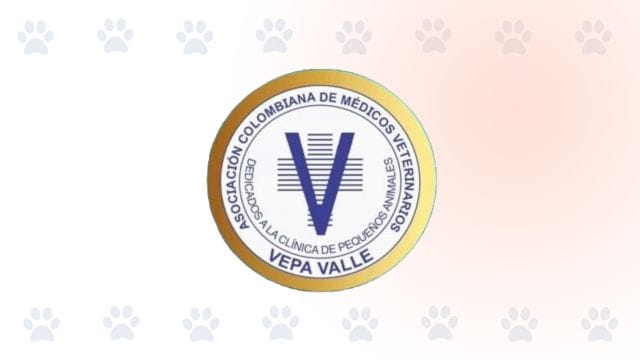 Dra. Clara Inés Restrepo, médica veterinaria en Cali especialista en pequeños animales.