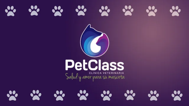 Logo de Pet Class - Clínica veterinaria 24 horas en Popayán