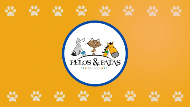 Logo de Pelos y patas - Clínica veterinaria y urgencias 24 horas en Popayán