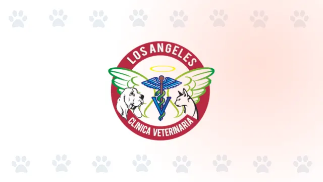 Logo de Los Angeles - Consulta y medicina veterinaria en Palmira