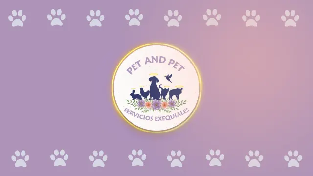 Logo de pet and pet - Funeraria de mascotas en Popayán