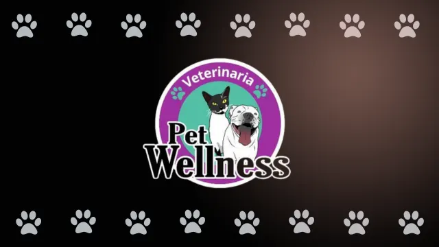 Logo de Pet Medellín - Tienda de mascotas virtual en Medellín