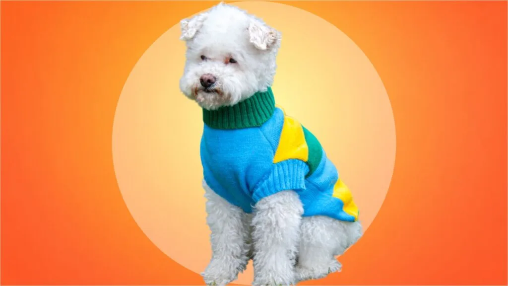 sueter para perros en Bogota 85 chikopipo sueter-para-perros-en-Bogota-85-chikopipo