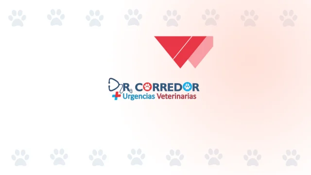 Logo de Doctor corredor - Urgencias veterinarias 24 horas en Jamundí