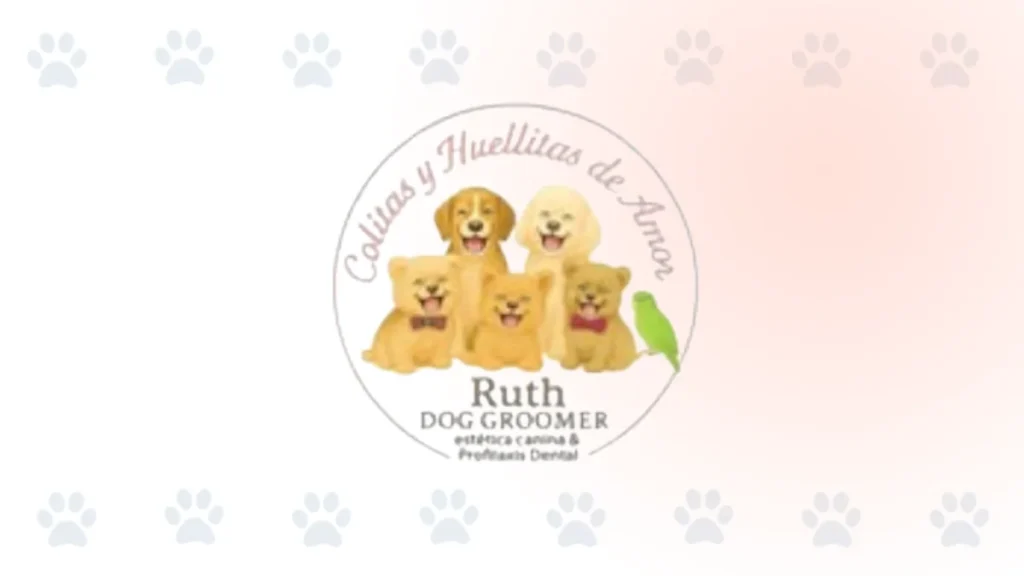 Servicio de peluquería canina a domicilio en Cali Colitas y Huellitas de Amor por Ruth Dog Groomer
