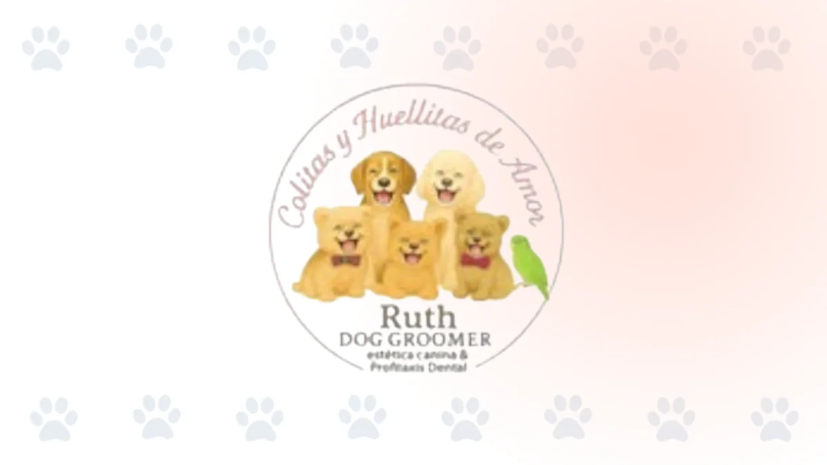 Servicio de peluquería canina a domicilio en Cali Colitas y Huellitas de Amor por Ruth Dog Groomer