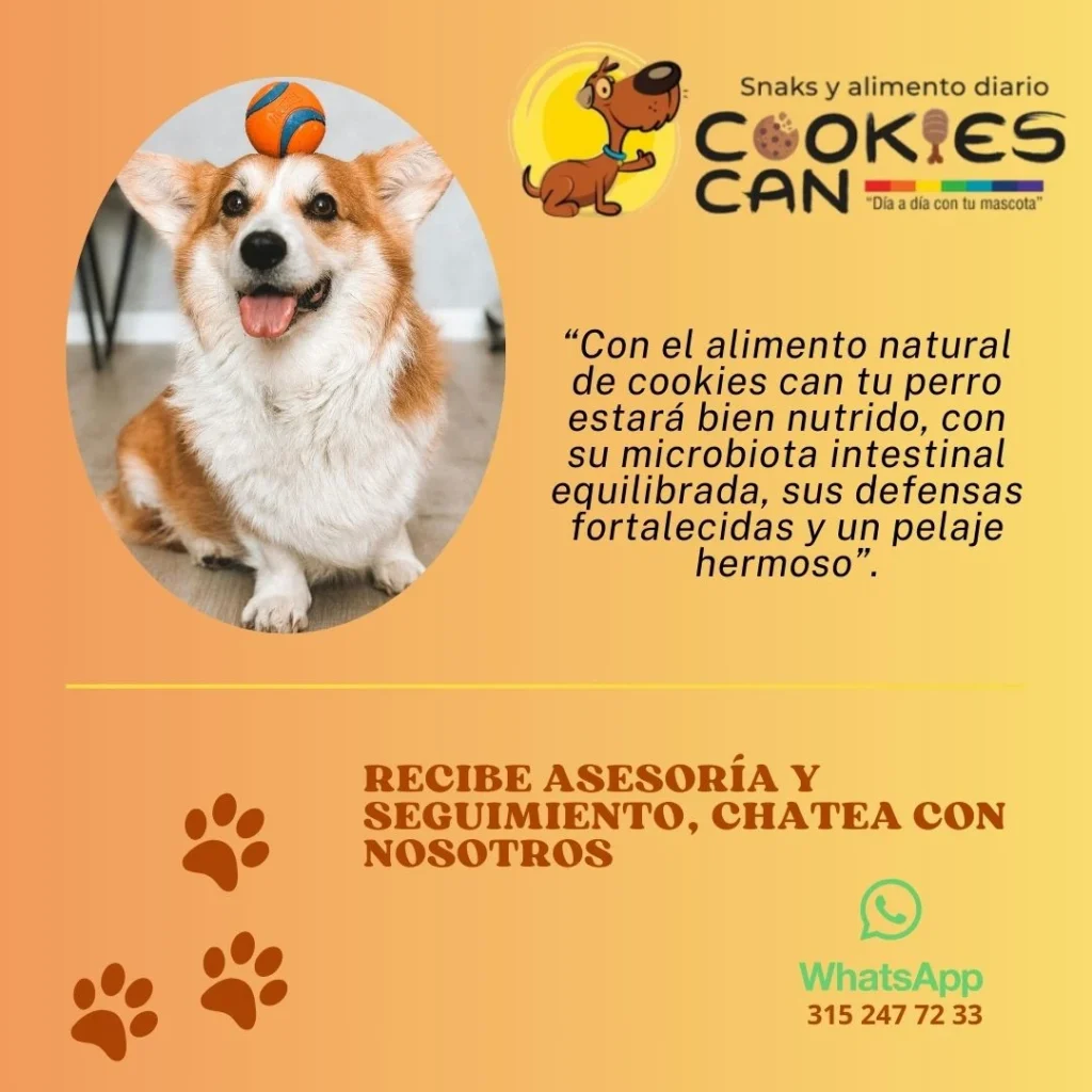 Beneficios del alimento natural para perros Cookies Can en Cali