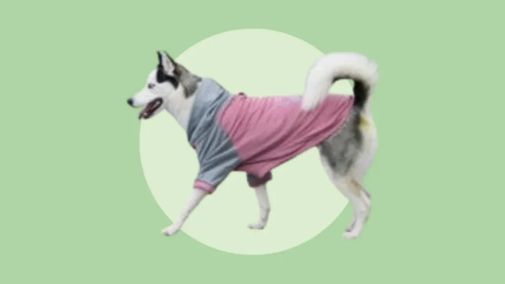 Buzo para perros Chiko Pipo en Bogotá
