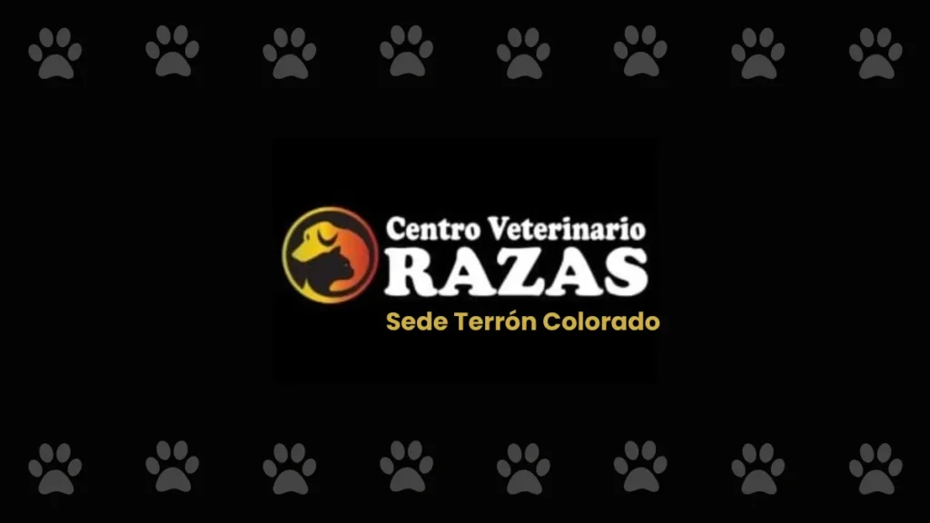Rehabilitación veterinaria Razas Vet Terrón Colorado