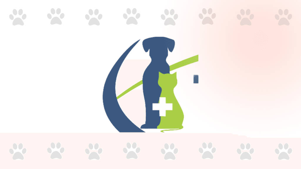 Consulta veterinaria TeusaVet