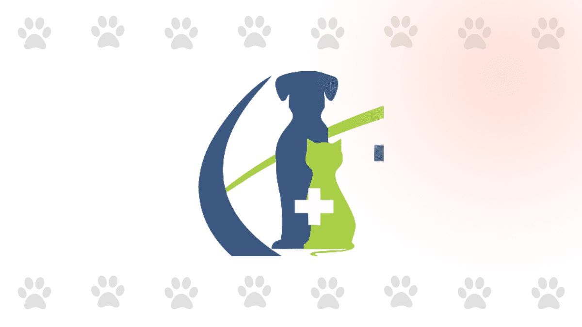 Consulta veterinaria TeusaVet