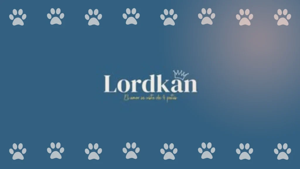 Ropa para mascotas Lordkan