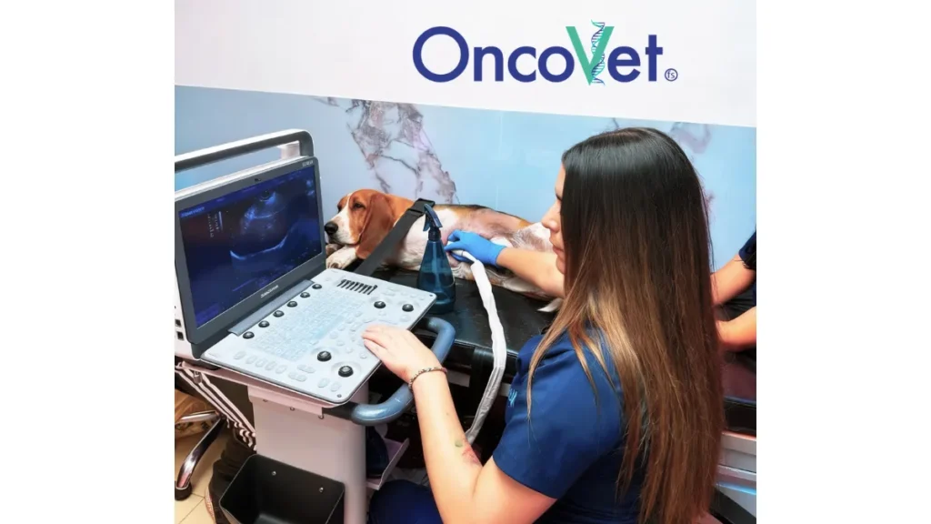 Ecografía veterinaria para diagnóstico especializado en perros en Oncovet Bogotá.