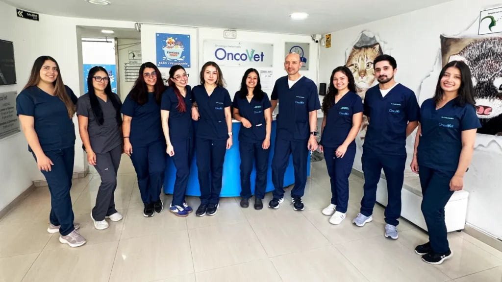 Equipo médico de Oncovet especializado en oncología veterinaria para perros y gatos en Bogotá.