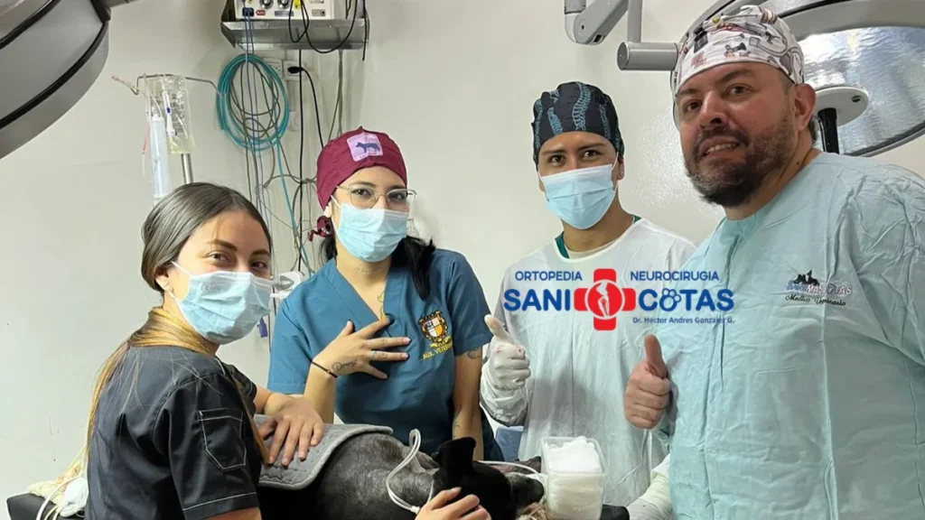 Equipo médico veterinario de SaniMascotas especializado en ortopedia y neurocirugía veterinaria en Popayán.