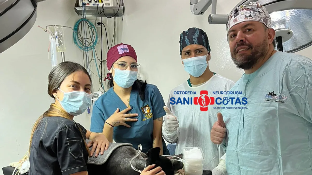 Equipo médico veterinario de SaniMascotas especializado en ortopedia y neurocirugía veterinaria en Popayán.