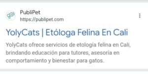 Yoly Cats google