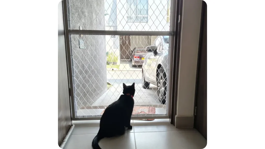 Malla de seguridad instalada en puerta residencial para protección de gatos y perros en Cali por Gatiando