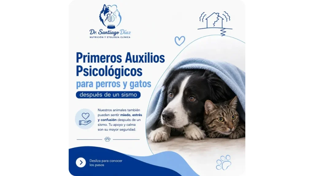 Guía de primeros auxilios psicológicos para reducir el estrés y miedo en perros y gatos después de un sismo en Medellín