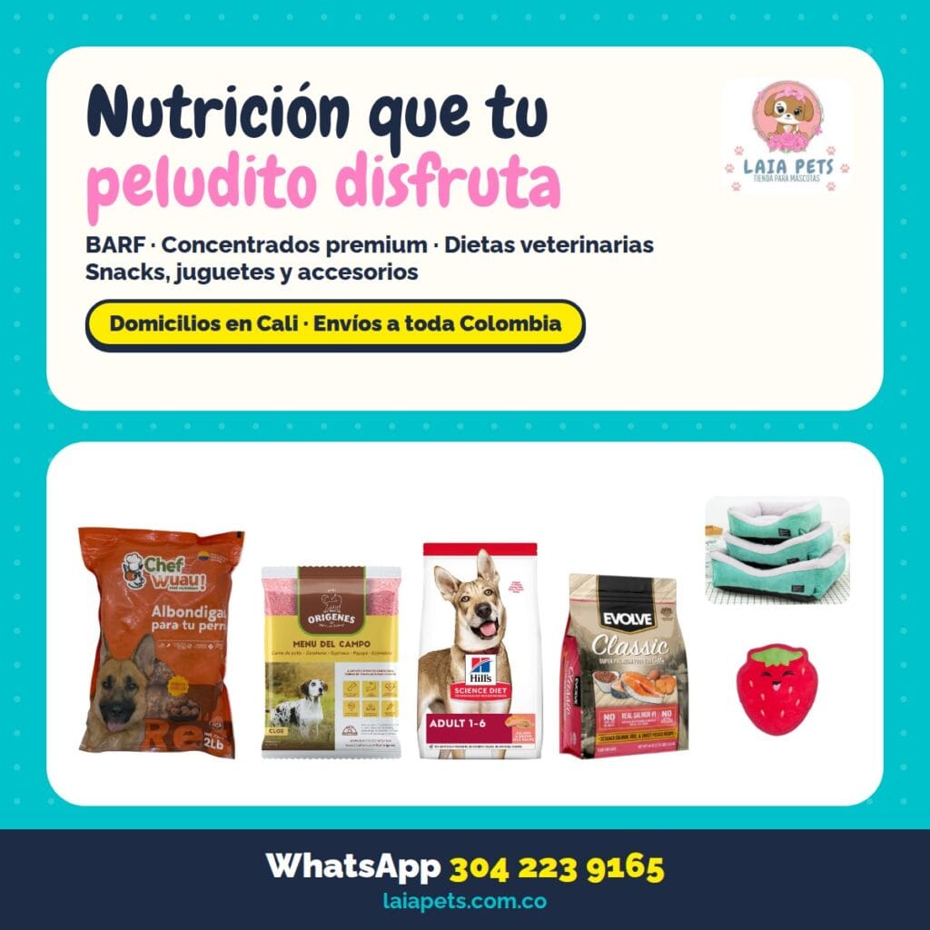 Presentacion_Laia_Pets_cuadrada